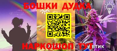 стафф Славгород
